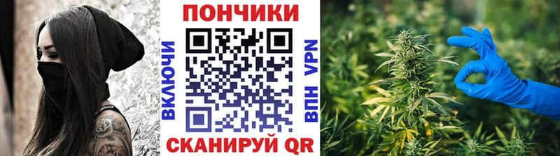Бошки Шишки THC 21%  Кочубеевское 